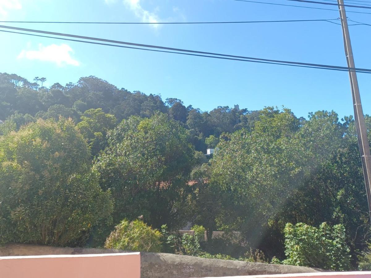 Casa Rosa Villa Sintra Dış mekan fotoğraf
